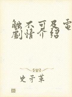 触不可及电视剧剧情介绍