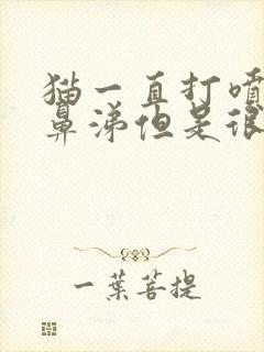 猫一直打喷嚏流鼻涕但是很精神很好封面