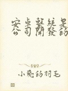 安卓系统是哪家公司开发的软件