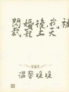 闪婚后,我被总裁宠上天封面