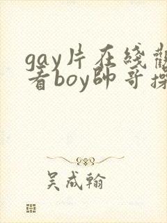 gay片在线观看boy帅哥操