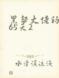 黑帮大佬的第365天2