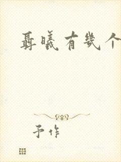 聂曦有几个孩子