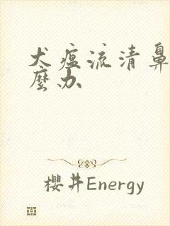 犬瘟流清鼻涕怎么办