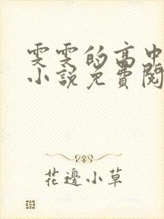 雯雯的高中日记小说免费阅读