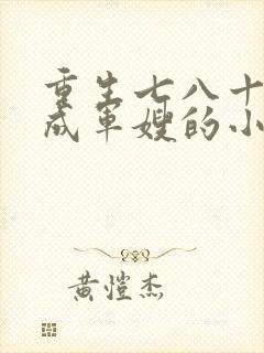 重生七八十年代成军嫂的小说