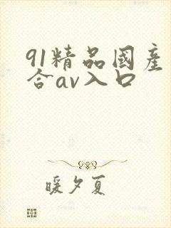 91精品国产综合av入口