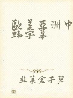 欧美亚洲中文日韩字幕