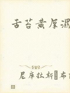 舌苔黄厚湿气重