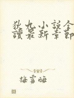 狄九小说全文阅读最新章节更新封面