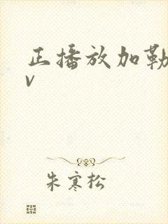 正播放加勒比av