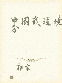 中国武道境界划分
