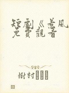 短剧《惹风华》免费观看