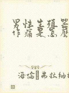 男性生殖器隐隐作痛是怎么回事