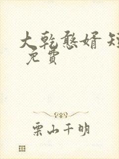 大乾憨婿 短剧 免费