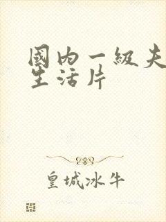 国内一级夫妻性生活片