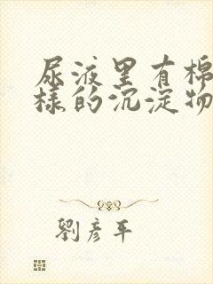 尿液里有棉絮一样的沉淀物封面