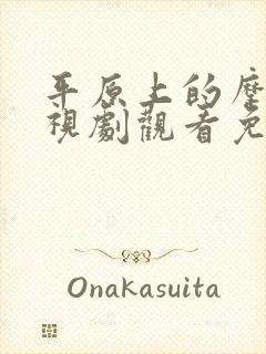 平原上的摩西电视剧观看免费完整版