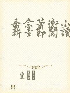 乔念萧衡小说最新章节阅读封面