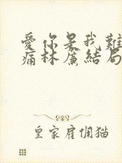 爱你是我难言的痛林帘结局封面