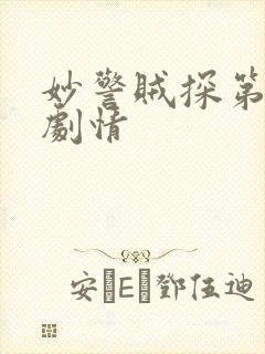 妙警贼探第四季剧情