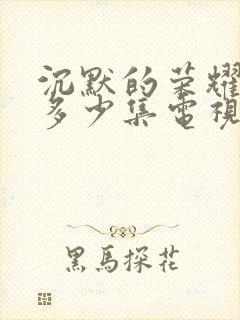 沉默的荣耀一共多少集电视剧