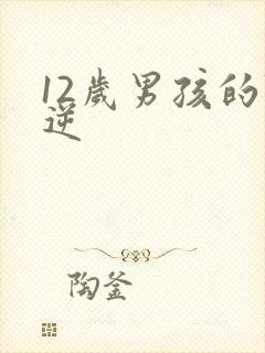 12岁男孩的叛逆