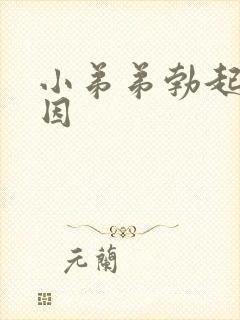 小弟弟勃起的原因