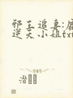 邪王追妻:废材逆天小姐txt下载