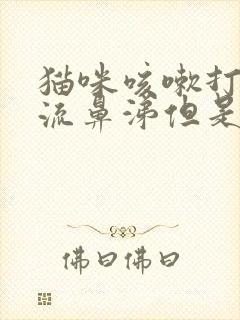 猫咪咳嗽打喷嚏流鼻涕但是精神很好封面