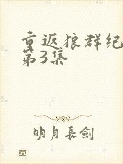 重返狼群纪录片第3集封面