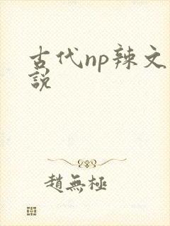 古代np辣文小说