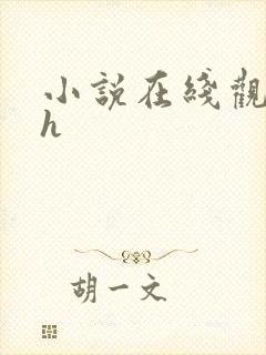 小说在线观看高h