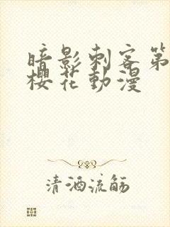 暗影刺客第4季樱花动漫