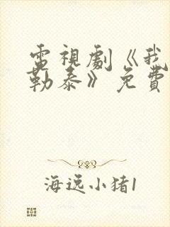 电视剧《我的阿勒泰》免费观看