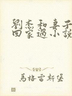 刘杰和妻子李露回家过小说在线阅读