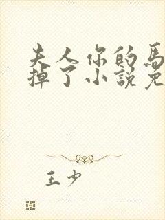 夫人你的马甲又掉了小说免费