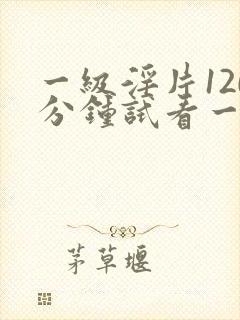 一级淫片120分钟试看一