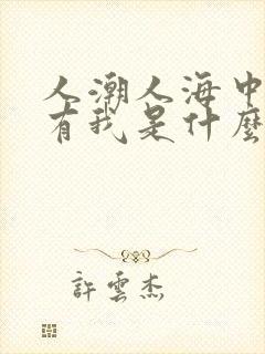 人潮人海中有你有我是什么歌歌词