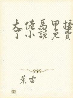 大佬马甲捂不住了小说免费阅读