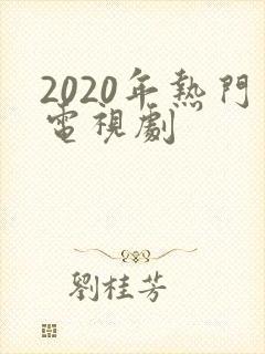 2020年热门电视剧