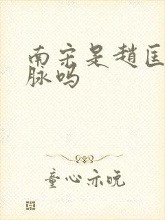 南宋是赵匡胤一脉吗