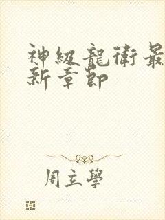 神级龙卫最新更新章节