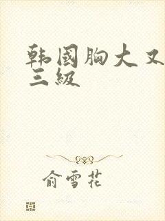 韩国胸大又好看三级封面