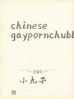 chinesegaypornchubbybearsex
