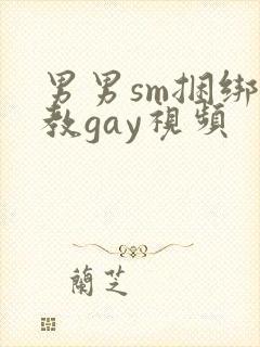 男男sm捆绑调教gay视频