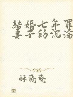 结婚七年罪与泪妻子的沉沦路结局封面