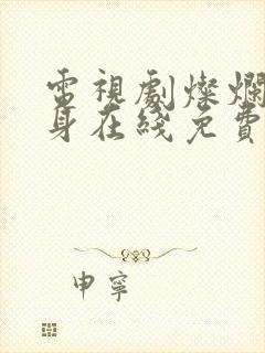 电视剧灿烂的转身在线免费观看封面