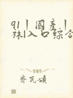 91丨国产丨丝袜|入口综合