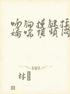 吻胸摸腿揉屁股娇喘视频网站小说